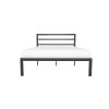 Queen Black Metal Platform Bed Frame with Headboard Included