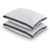 Set of 2 Standard Shredded Memory Foam Polyester Pillow with Removeable Cover