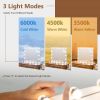 21 x 26 in Bathroom Mirror w/ Dimmable Lights + Removable 3X Magnifying Mirror